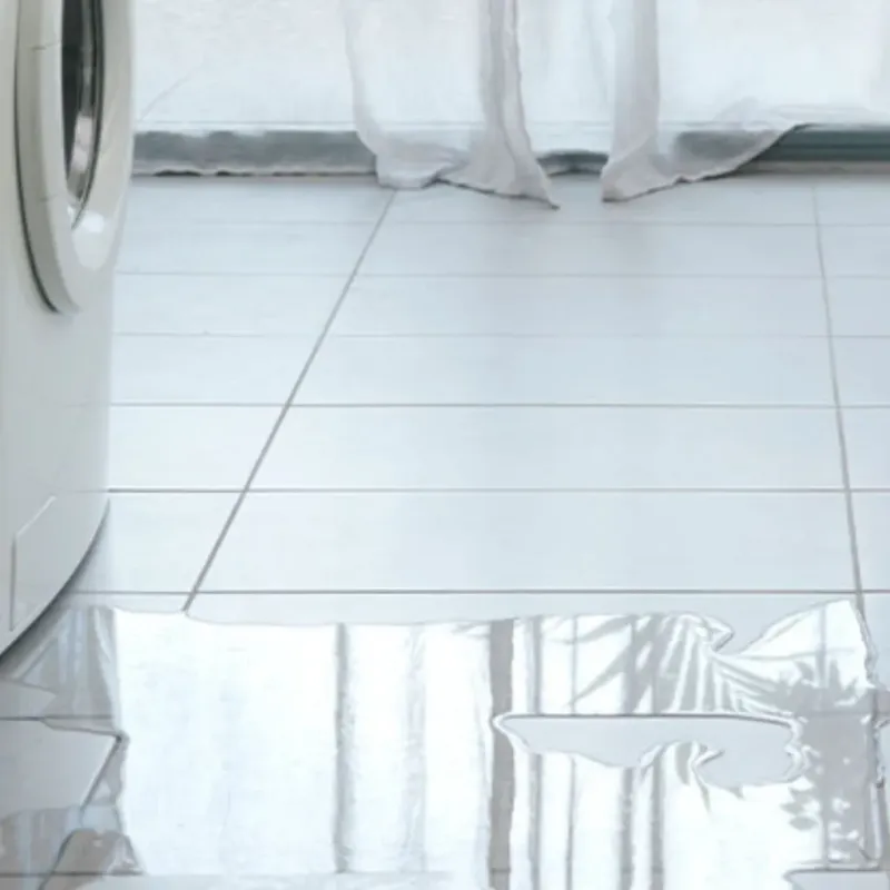 Appliance Leak Cleanup in Smyrna, TN