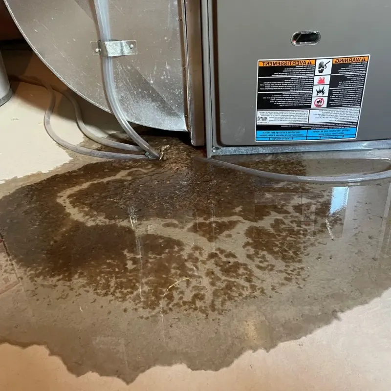 Pipe Burst and Leak Restoration in Smyrna, TN
